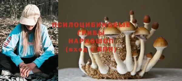 кокс Алексеевка
