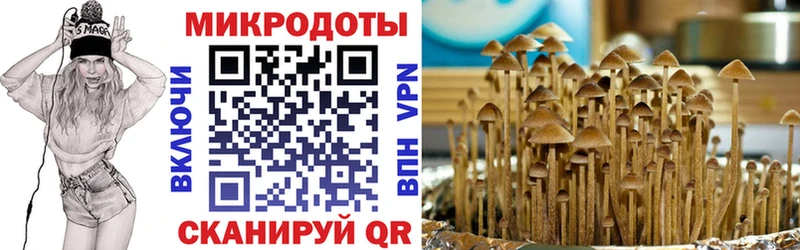 ОМГ ОМГ зеркало даркнет сайт Курганинск Галлюциногенные грибы GOLDEN TEACHER