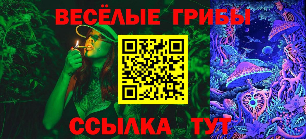 Псилоцибиновые грибы Magic Shrooms Курганинск