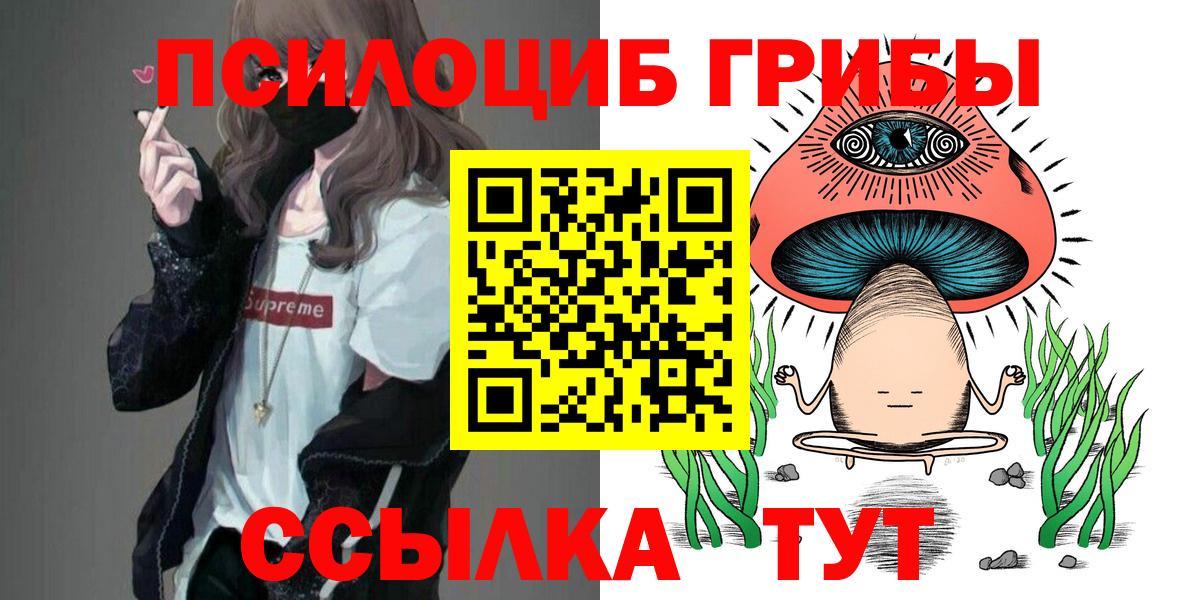 Галлюциногенные грибы GOLDEN TEACHER  Вход с VPN  Курганинск  Галлюциногенные грибы ЛСД 